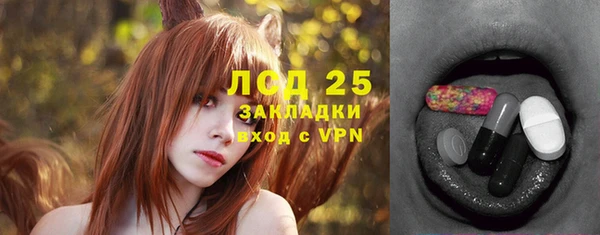 прущие грибы Баксан