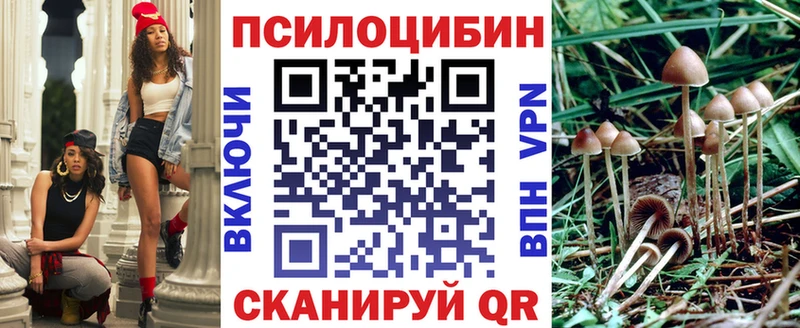 где можно купить наркотик  Сланцы  Псилоцибиновые грибы мухоморы 